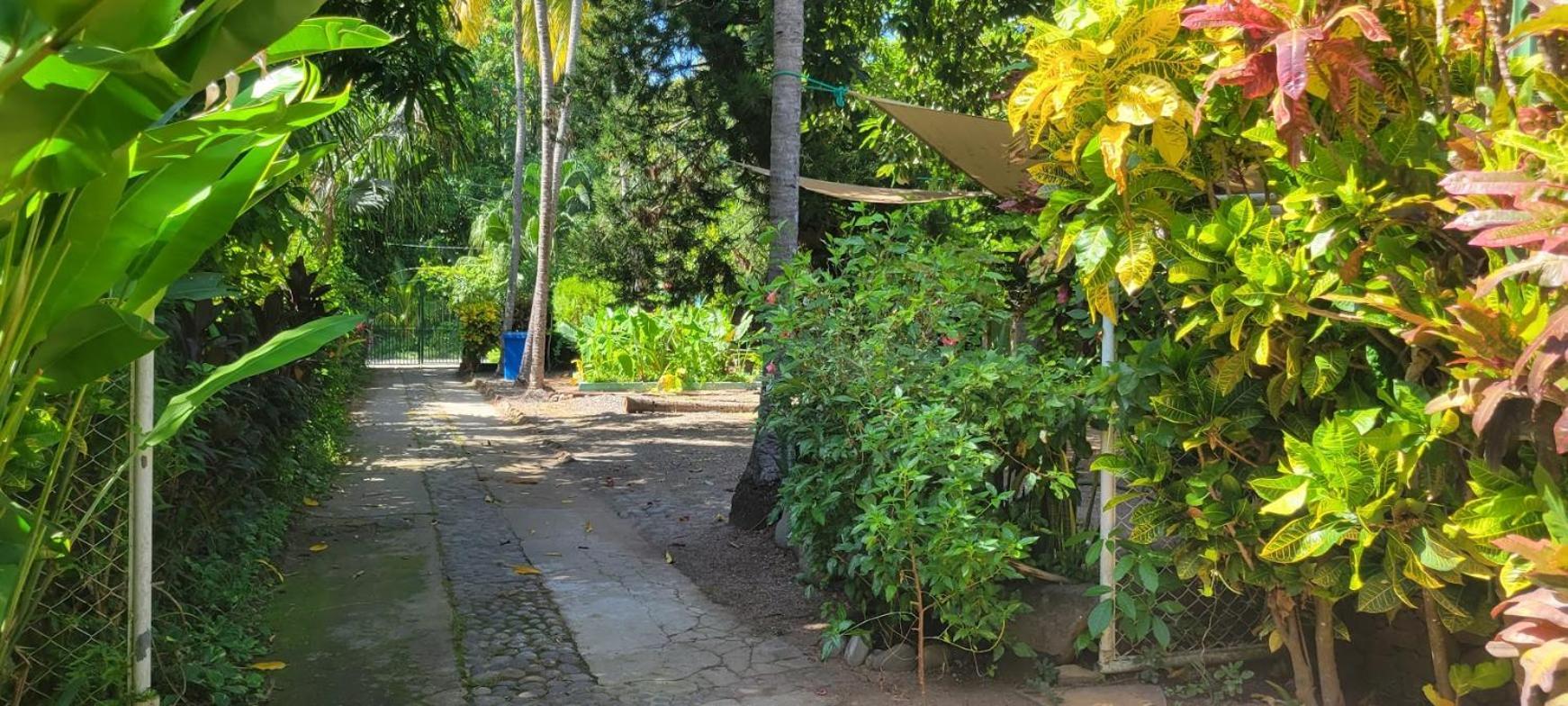 Hostal Tia Reyna El Zonte Exterior foto